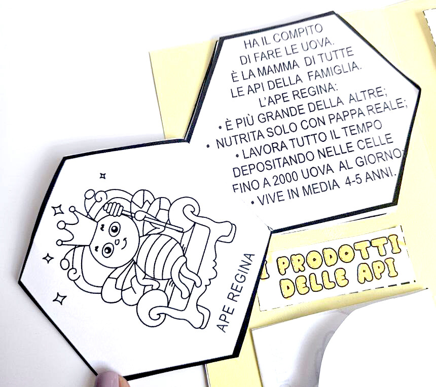 🌼🐝 Alla Scoperta delle Api - Lapbook