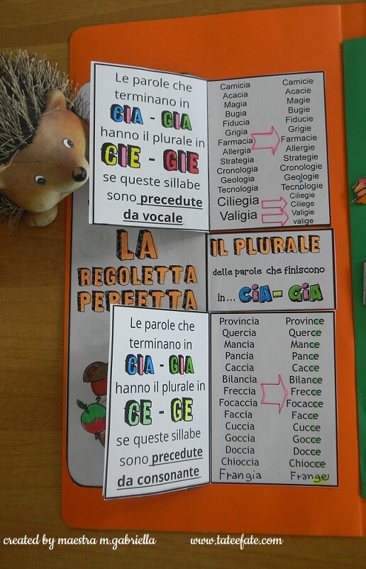 Riccio capriccio e le regolette del plurale delle parole con GIA e CIA in finale