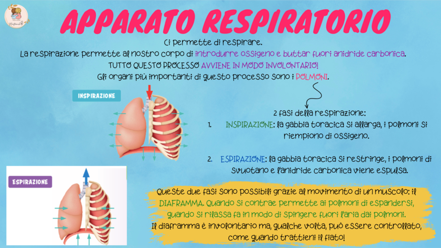 IL CORPO UMANO - Un viaggio dentro di noi!