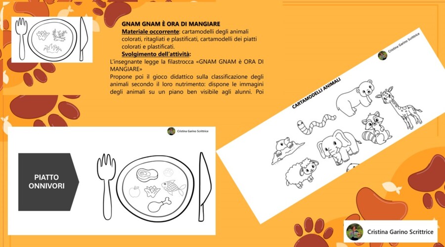 LA CLASSIFICAZIONE DEGLI ANIMALI SECONDO L' HABITAT E IL NUTRIMENTO