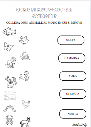 Come si muovono gli animali?