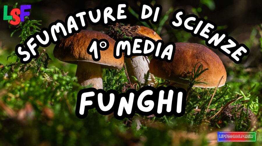 Funghi_KIT MULTIMODALE SCIENZE 1°media_slide+ infografica+ mappa mentale+ disegno da colorare+VERIFICA LE COMPETENZE+OMAGGIO:VIDEO&PODCAST