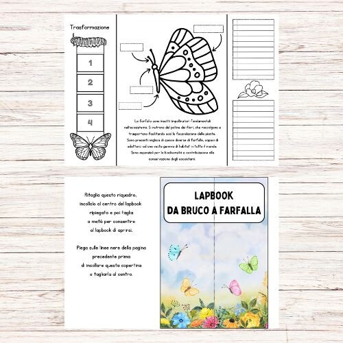 Lapbook da bruco a farfalla
