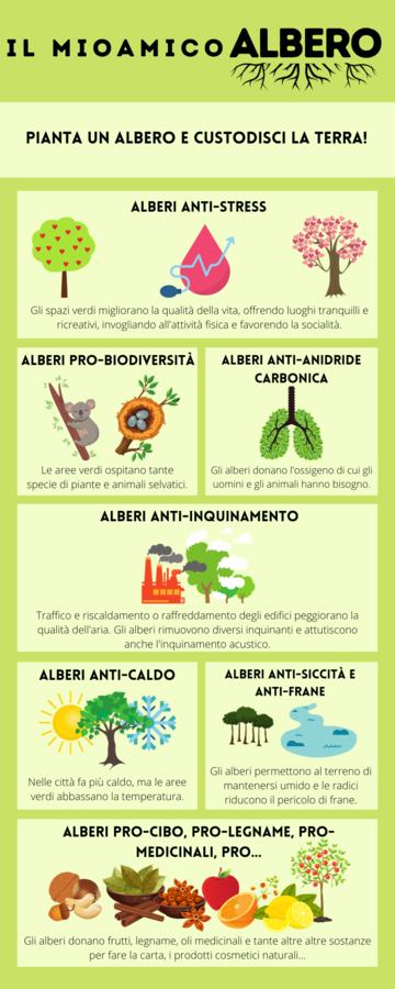 I benefici degli alberi