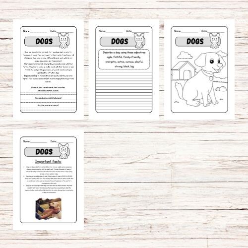 Lettura e comprensione in inglese - Dogs