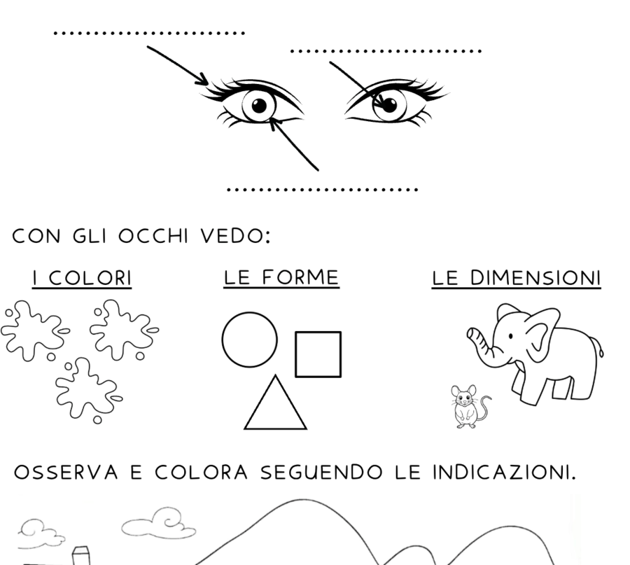 I cinque sensi: la vista