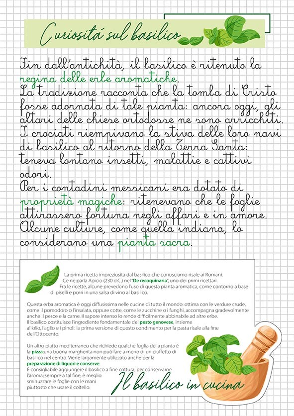 “SuperERBE. Aromi verticali” Estratto STUDIO 8 PIANTE AROMATICHE