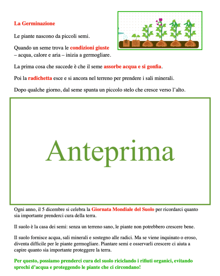 Diario di un seme; carte, letture e attività concrete; classi 2/5