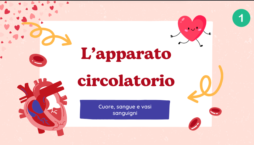 Apparato circolatorio: sangue e vasi sanguigni