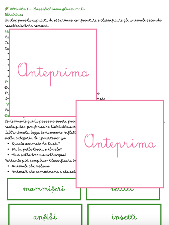 Animali della Primavera – Carte Montessori con Schede Scientifiche e Attività di Classificazione- classi 1/2 e scuola dell'infanzia