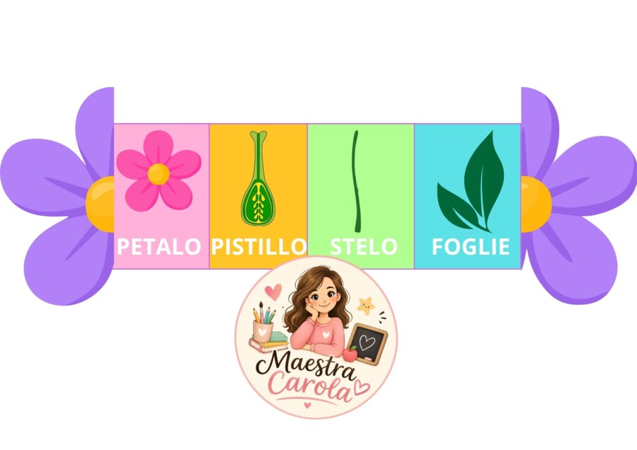Parti del Fiore – Gadget Educativo Colorato per Bambini