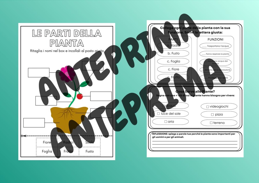 🔬kit Scienze: ripasso - consolidamento - classi 3° - 4° - 5°