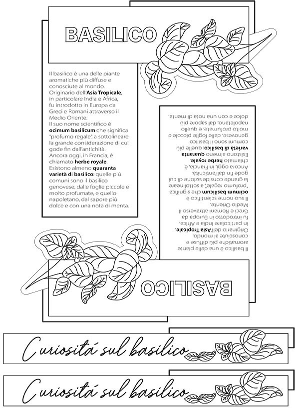 “SuperERBE. Aromi verticali” Estratto STUDIO 8 PIANTE AROMATICHE