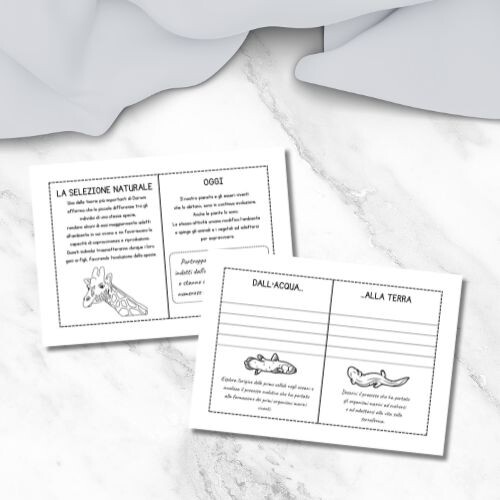 Darwin scuola primaria – Libretto da stampare e completare