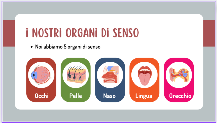 organi di senso