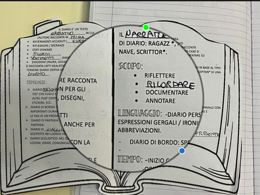 Il diario.