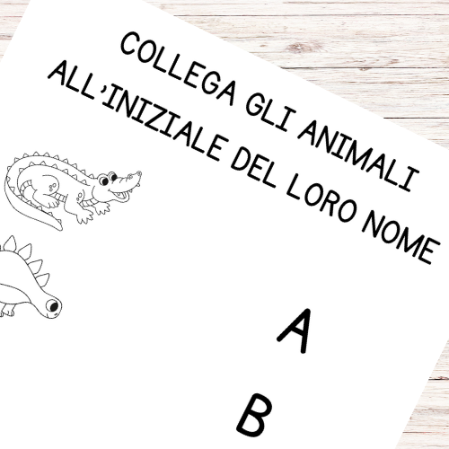 Esercizi italiano prima elementare