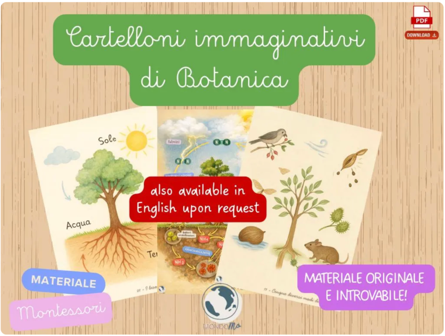 Botanica Montessori | 19 chart | Set completo 19 PDF Stampabile | 6-10 anni | Cartelloni impressionistici immaginativi bisogni della pianta