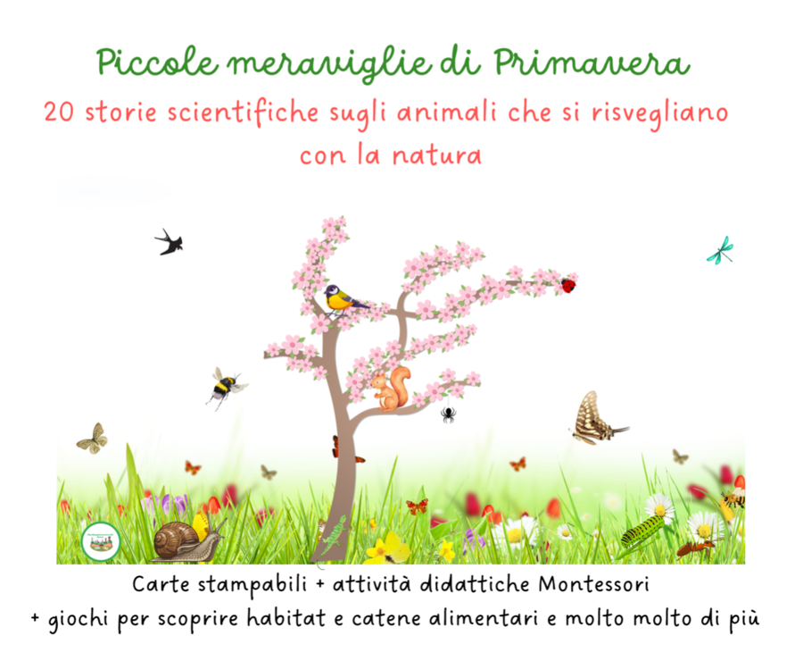Animali della Primavera – Carte Montessori con Schede Scientifiche e Attività di Classificazione- classi 1/2 e scuola dell'infanzia