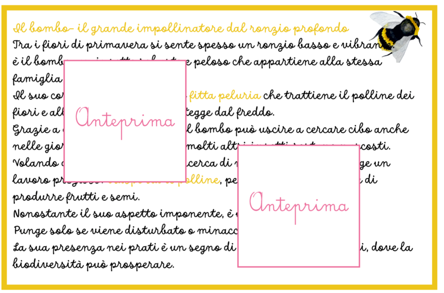 Animali della Primavera – Carte Montessori con Schede Scientifiche e Attività di Classificazione- classi 1/2 e scuola dell'infanzia