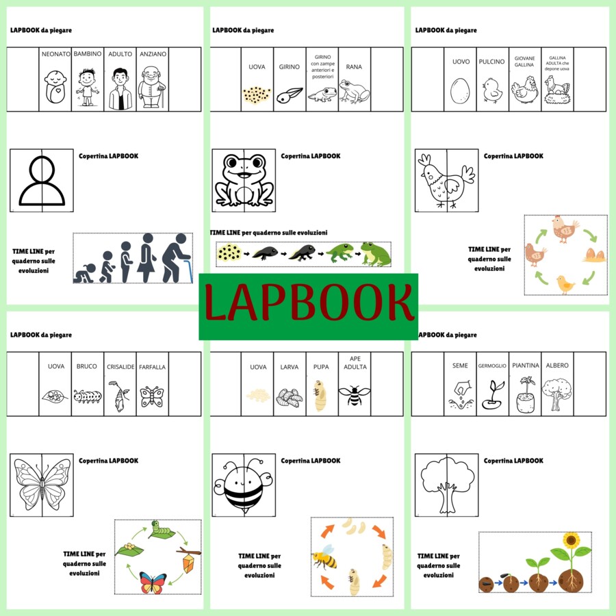 LAPBOOK scienze