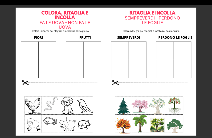 Scopri e classifica con il metodo Montessori_stacca attacca
