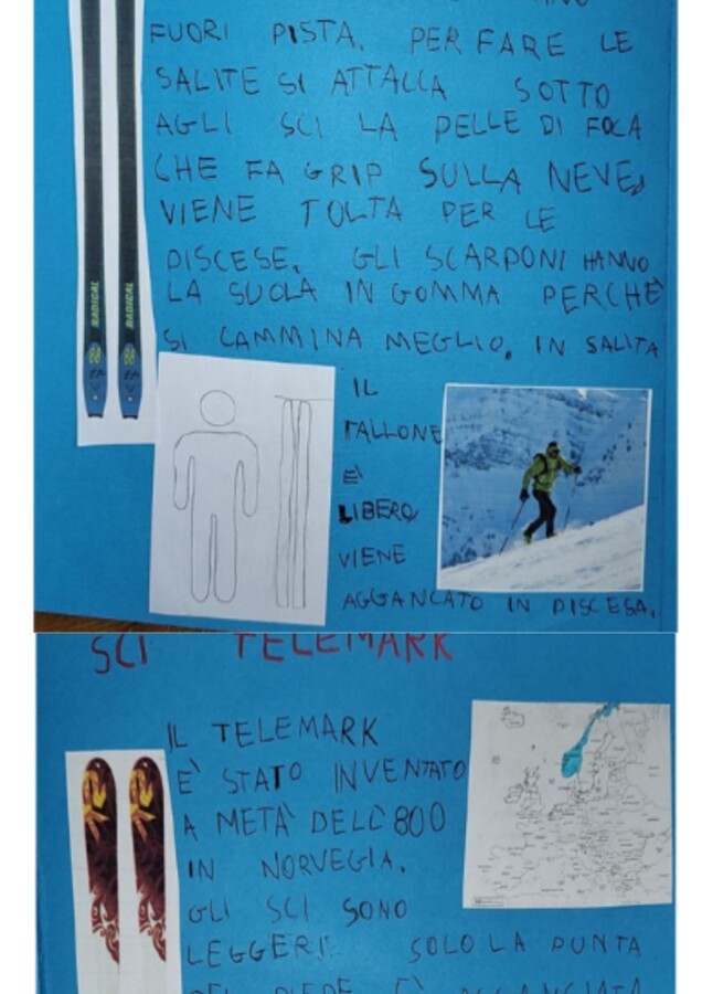 Ricerca. I tipi di sci. Prima e seconda primaria.