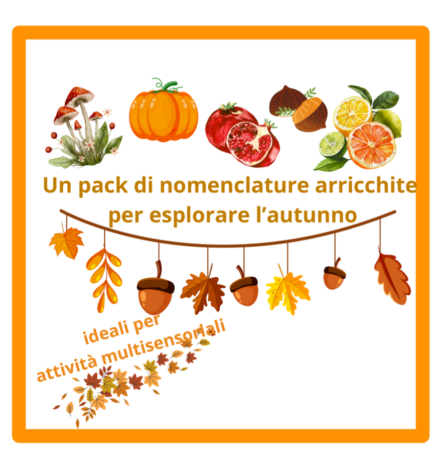 Carte di nomenclature Montessori per l'autunno- pack con 5 nomenclature