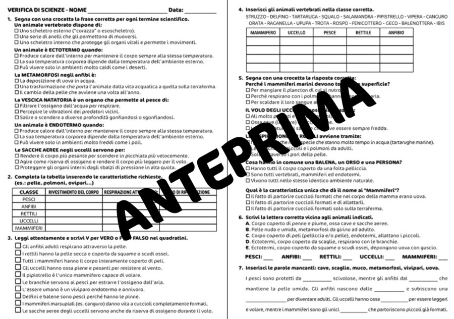 VERIFICA DI SCIENZE SUGLI ANIMALI VERTEBRATI - CLASSE QUARTA - SCUOLA PRIMARIA