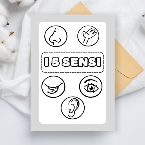 Libretto dei 5 sensi