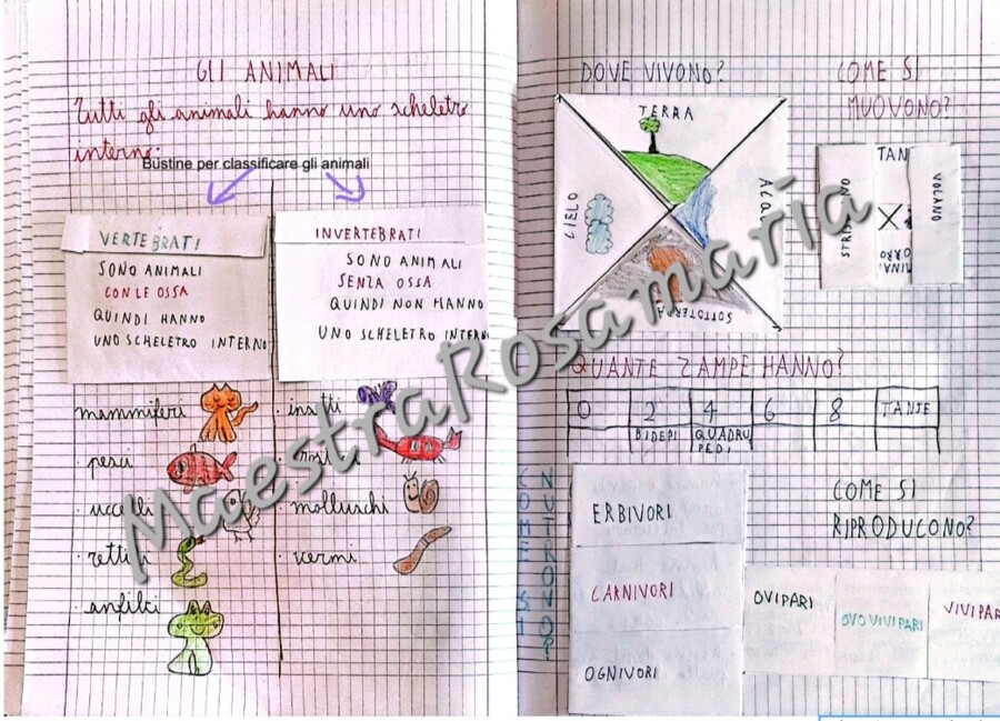 Scienze classe seconda