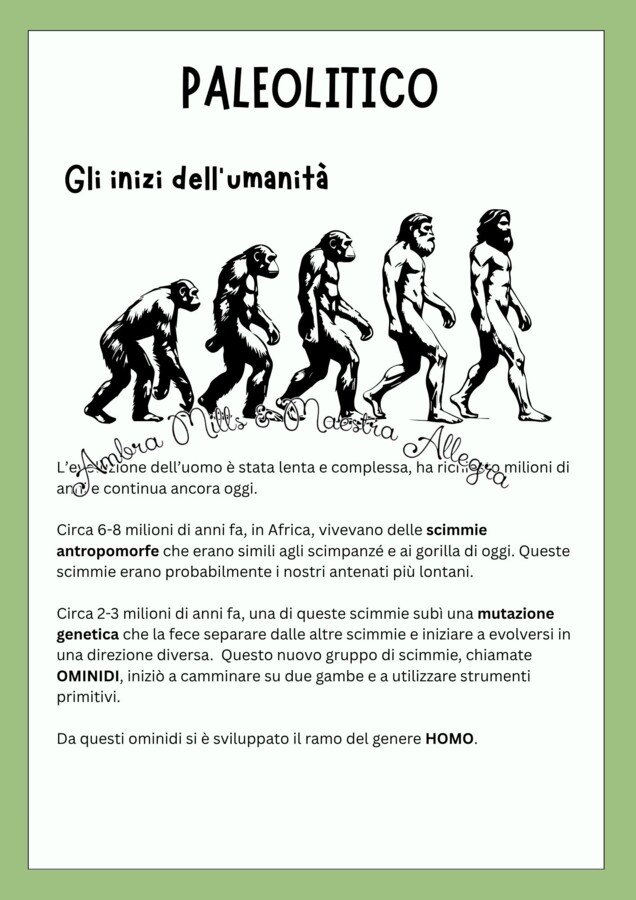 IL PALEOLITICO