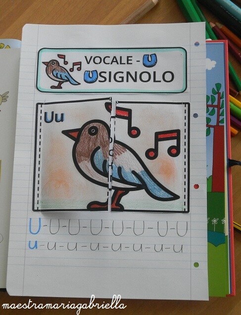 Vocale U di Usignolo e uccellino