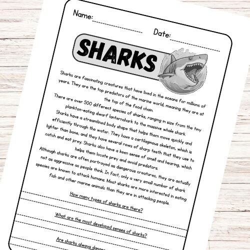 Lettura e comprensione in inglese - Sharks