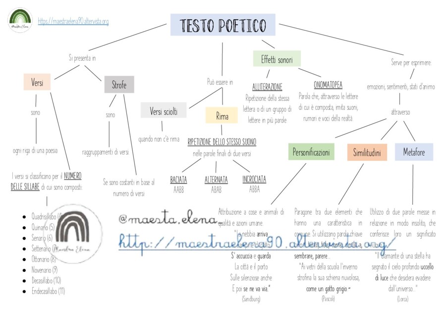 IL TESTO POETICO