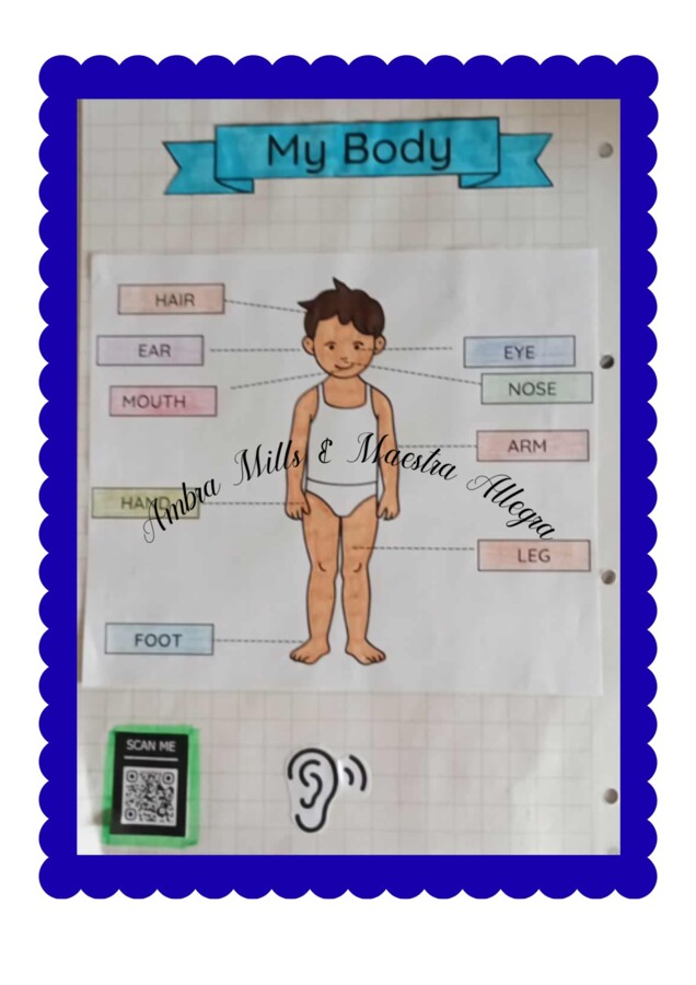 Quaderno d'inglese classe 1