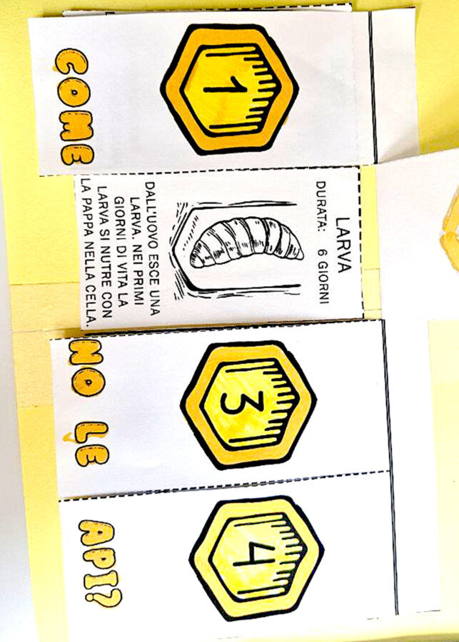 🌼🐝 Alla Scoperta delle Api - Lapbook