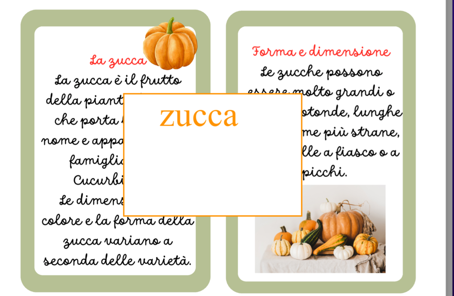 Carte di nomenclature Montessori per l'autunno- pack con 5 nomenclature