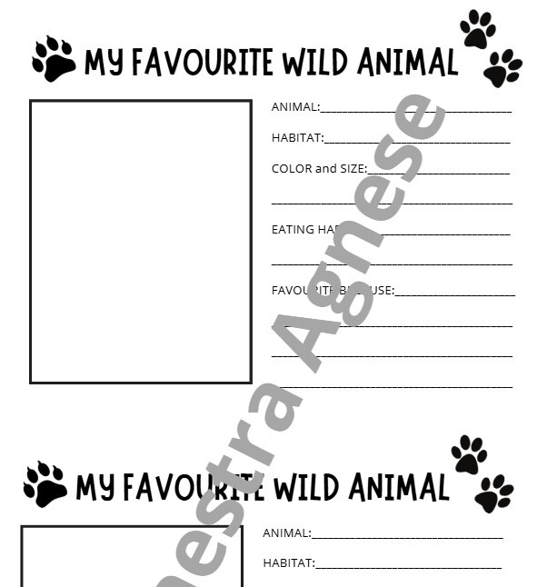 My favourite wild animal
