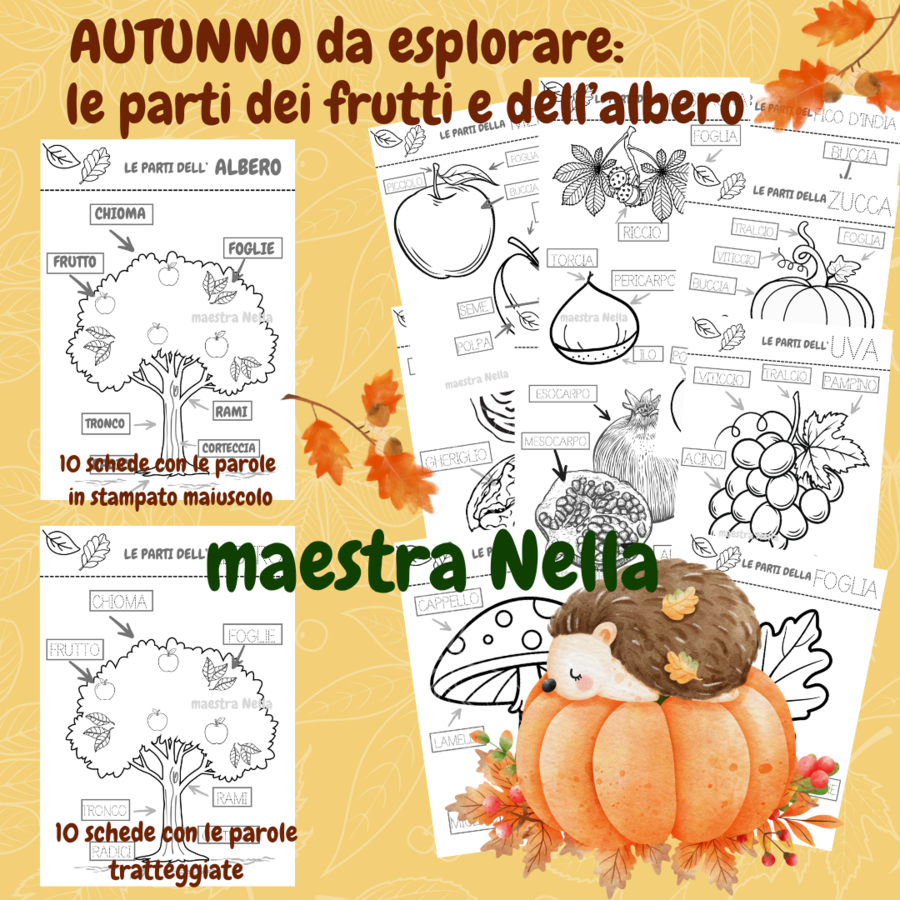 autunno da esplorare: le parti dell'albero e dei frutti