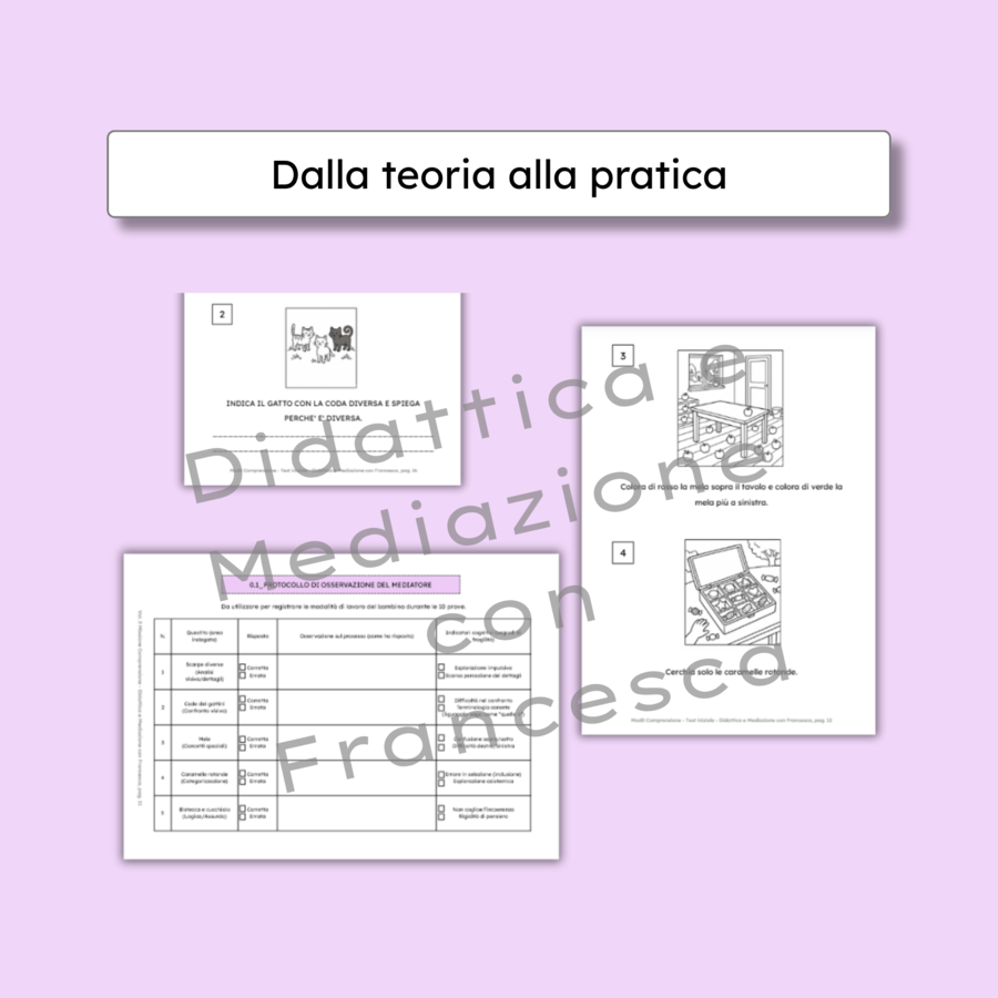 TEST INIZIALE Comprensione del testo-Protocollo di osservazione BES/DSA