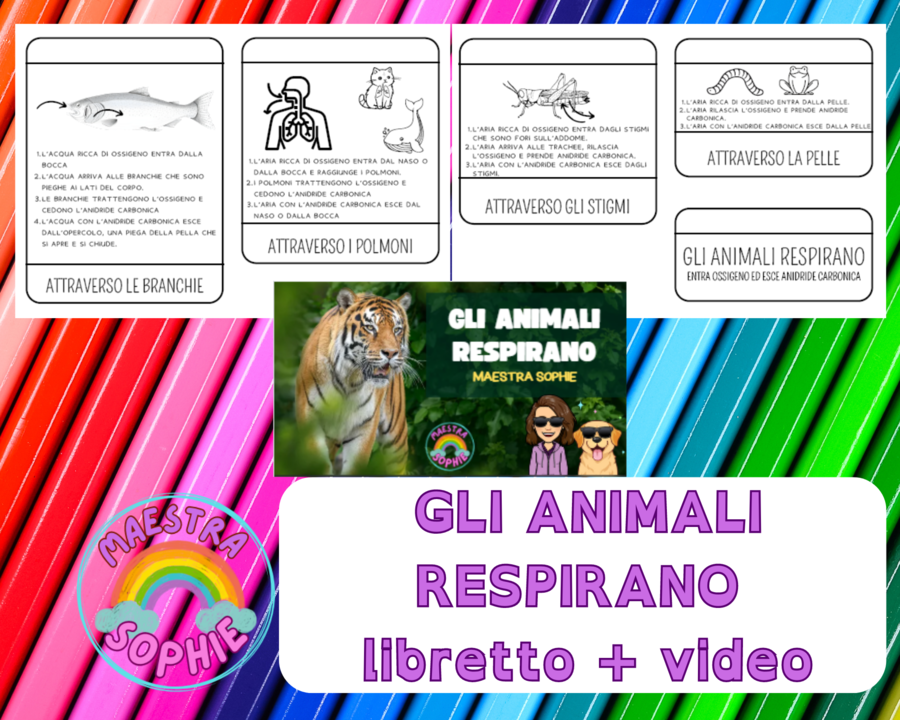 Gli animali respirano libretto + video
