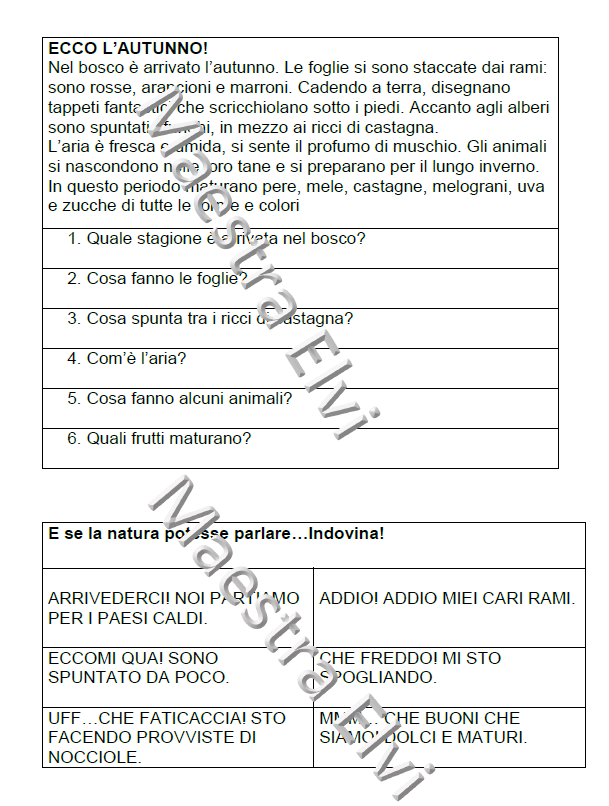 ECCO L'AUTUNNO IN SECONDA!