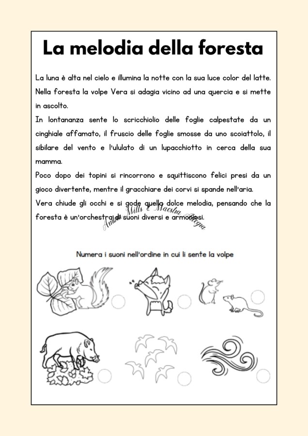 IL VIAGGIO NELLA FORESTA