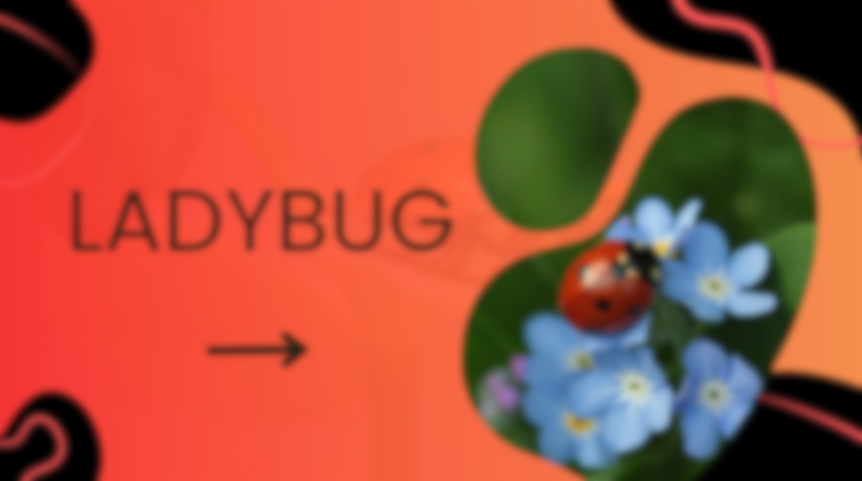 CLIL MINI MONDO - Bugs and friends