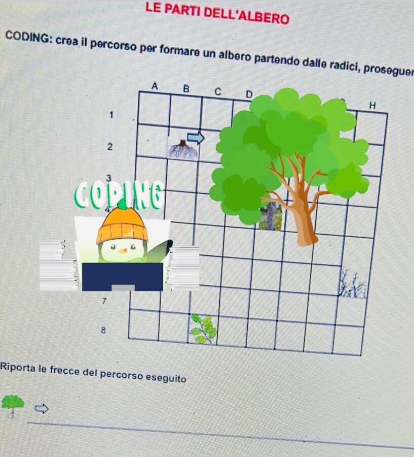 CODING: le parti dell'albero 21 novembre giornata nazionale degli alberi