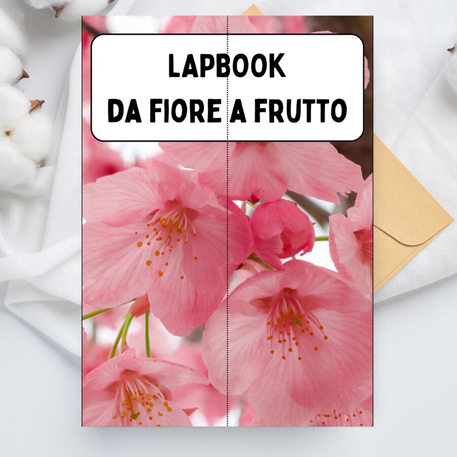Lapbook da fiore a frutto