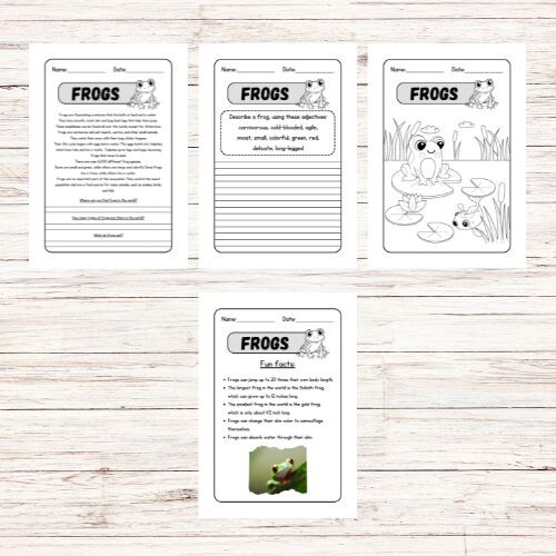 Lettura e comprensione in inglese – Frogs
