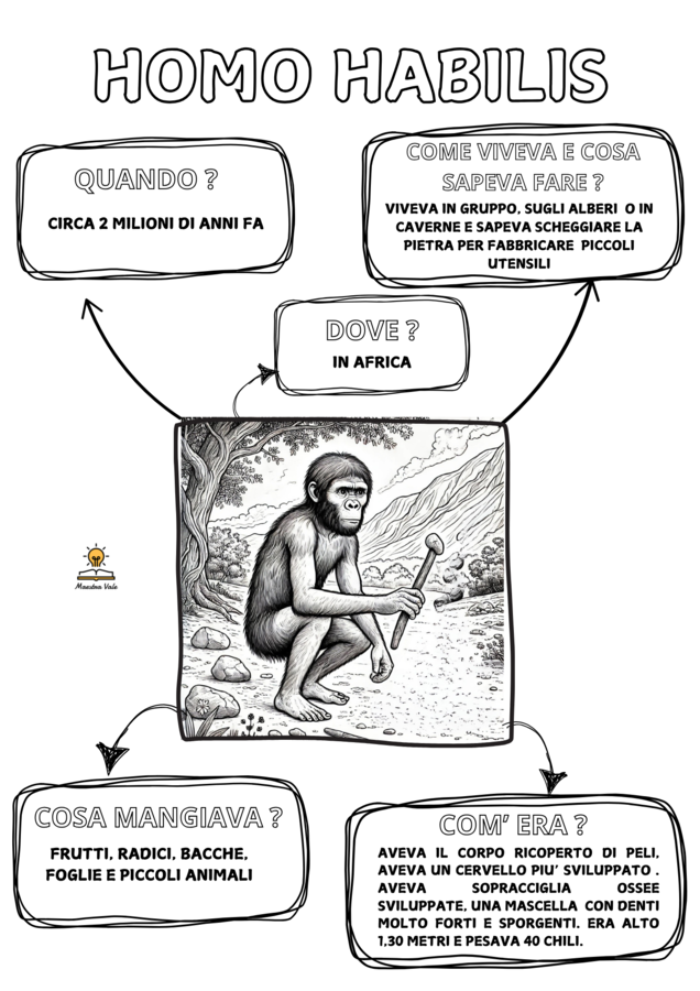 VIAGGIO NELLA PREISTORIA - PALEOLITICO