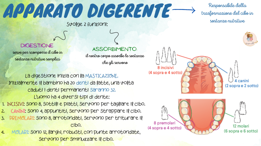 IL CORPO UMANO - Un viaggio dentro di noi!